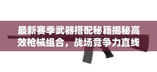 最新赛季武器搭配秘籍揭秘高效枪械组合，战场竞争力直线飙升！