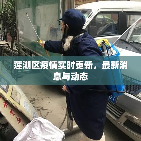 莲湖区疫情实时更新，最新消息与动态