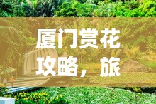 厦门赏花攻略，旅游必去之地！