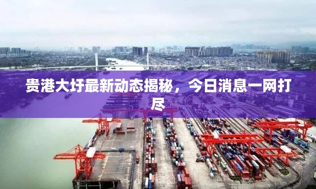 富贵凝香 第2页