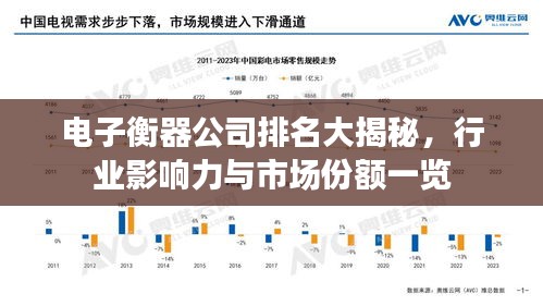 电子衡器公司排名大揭秘，行业影响力与市场份额一览