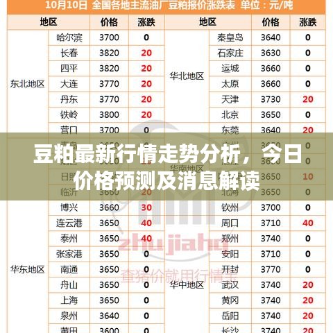 豆粕最新行情走势分析，今日价格预测及消息解读