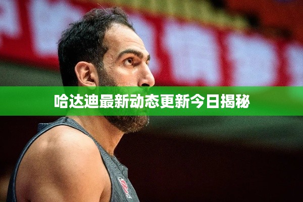 哈达迪最新动态更新今日揭秘