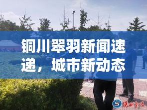 铜川翠羽新闻速递，城市新动态揭秘