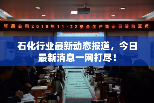 石化行业最新动态报道，今日最新消息一网打尽！