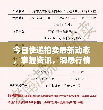 今日快递拍卖最新动态，掌握资讯，洞悉行情