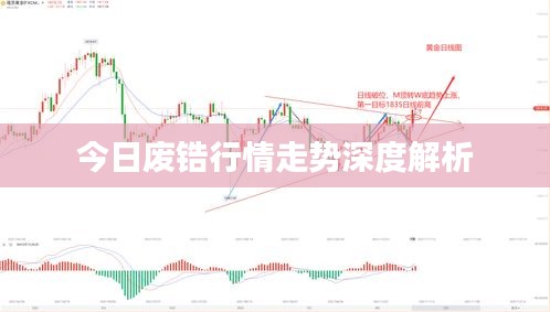 今日废锆行情走势深度解析