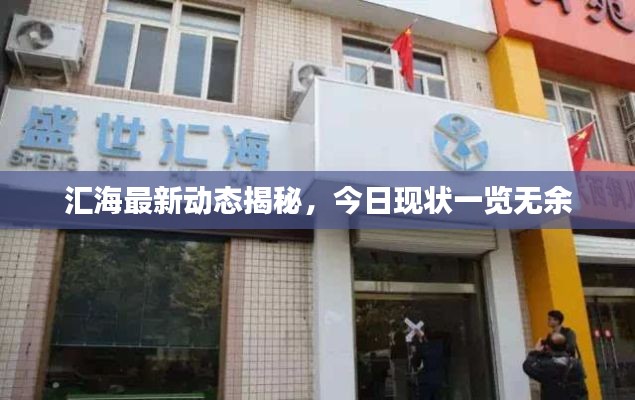 汇海最新动态揭秘，今日现状一览无余