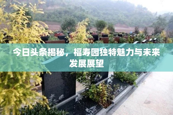 今日头条揭秘，福寿园独特魅力与未来发展展望
