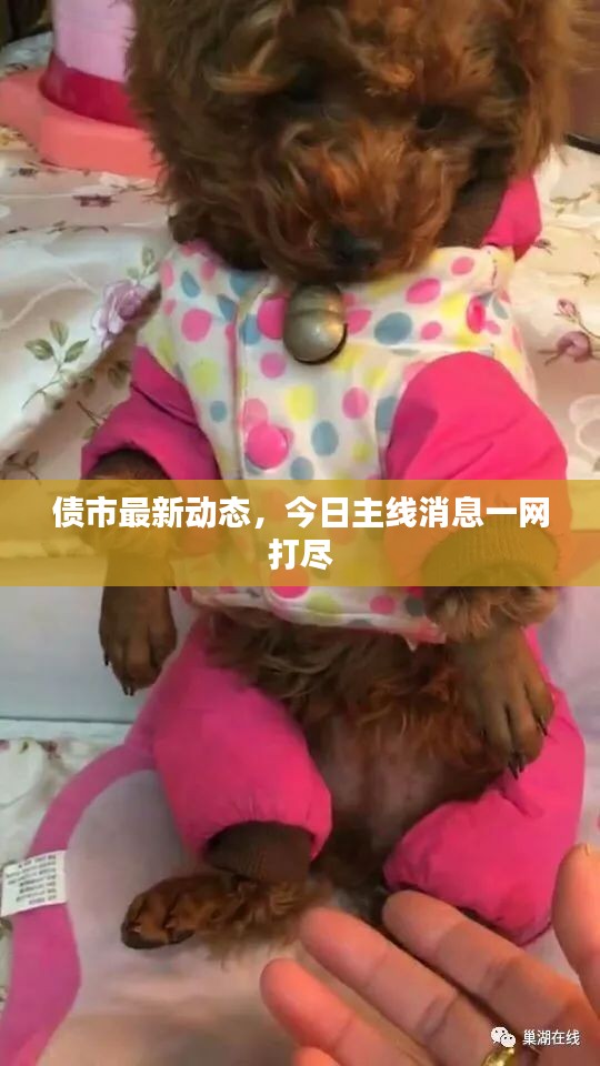 债市最新动态，今日主线消息一网打尽