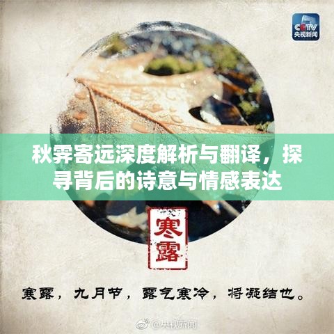 秋霁寄远深度解析与翻译，探寻背后的诗意与情感表达