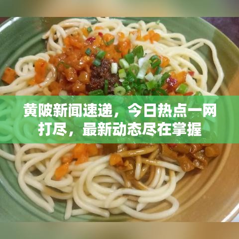黄陂新闻速递，今日热点一网打尽，最新动态尽在掌握