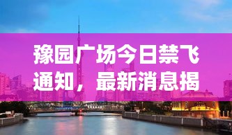 豫园广场今日禁飞通知，最新消息揭秘！