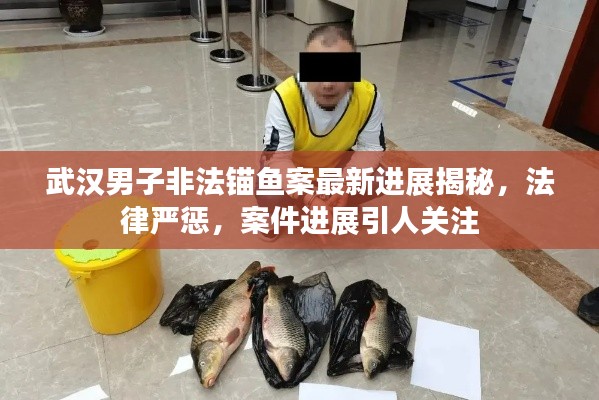 武汉男子非法锚鱼案最新进展揭秘，法律严惩，案件进展引人关注