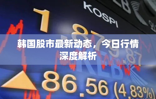 韩国股市最新动态，今日行情深度解析
