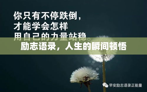 励志语录，人生的瞬间顿悟