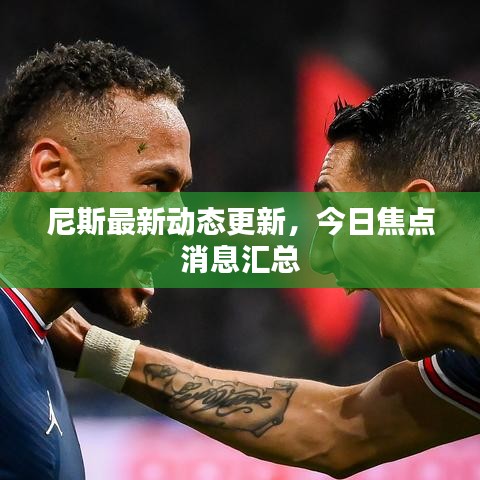 尼斯最新动态更新，今日焦点消息汇总