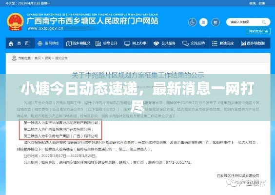小塘今日动态速递，最新消息一网打尽