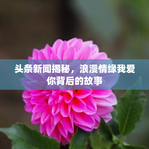 头条新闻揭秘，浪漫情缘我爱你背后的故事