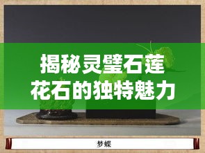 揭秘灵璧石莲花石的独特魅力，自然瑰宝惊艳百度视界