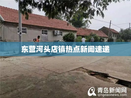 东营河头店镇热点新闻速递