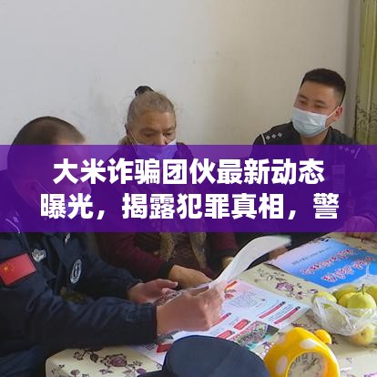 大米诈骗团伙最新动态曝光，揭露犯罪真相，警惕公众防范心理