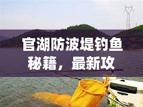 官湖防波堤钓鱼秘籍，最新攻略分享