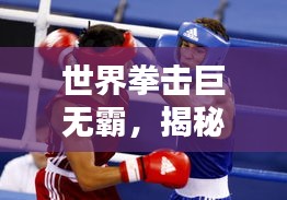 世界拳击巨无霸，揭秘100公斤级排名霸主！