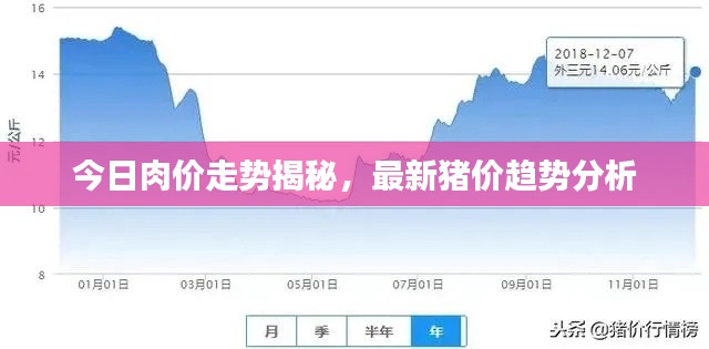 今日肉价走势揭秘，最新猪价趋势分析