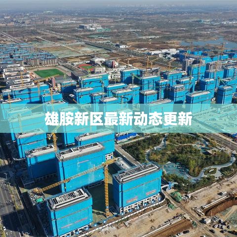 雄胺新区最新动态更新