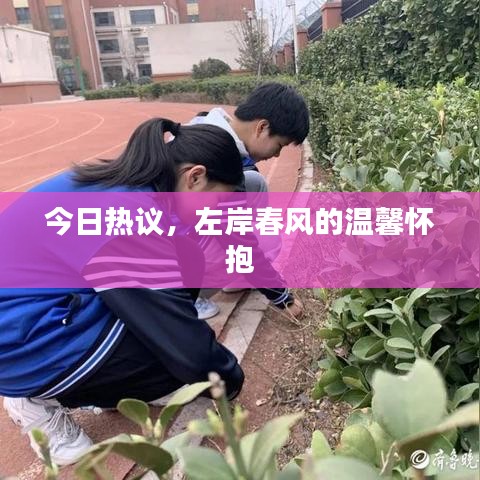 今日热议，左岸春风的温馨怀抱