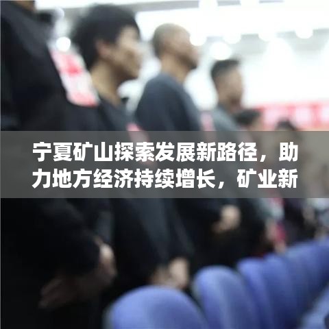 宁夏矿山探索发展新路径，助力地方经济持续增长，矿业新闻头条揭秘