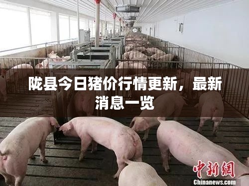 陇县今日猪价行情更新，最新消息一览