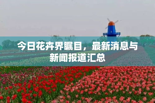 今日花卉界瞩目，最新消息与新闻报道汇总