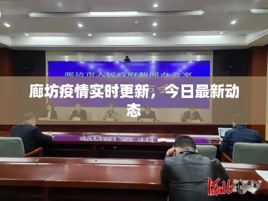 洵属可贵 第2页