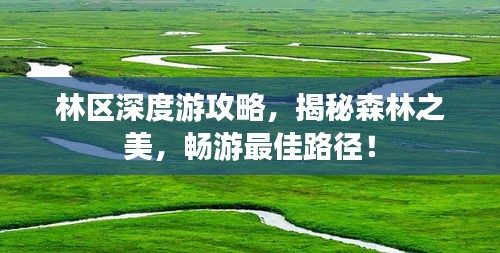 林区深度游攻略，揭秘森林之美，畅游最佳路径！