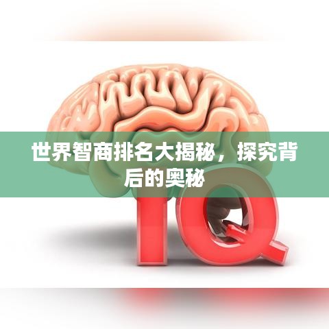 世界智商排名大揭秘，探究背后的奥秘