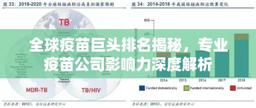 全球疫苗巨头排名揭秘，专业疫苗公司影响力深度解析