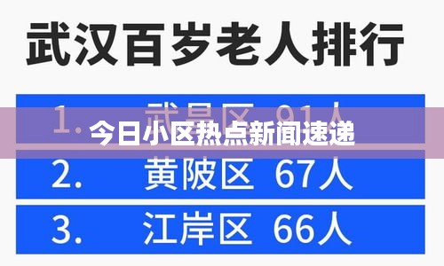 今日小区热点新闻速递