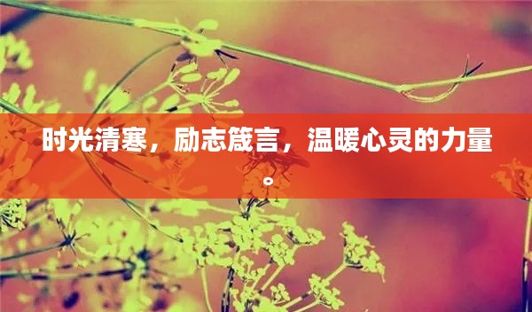时光清寒，励志箴言，温暖心灵的力量。