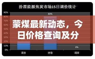 蒙煤最新动态，今日价格查询及分析揭秘