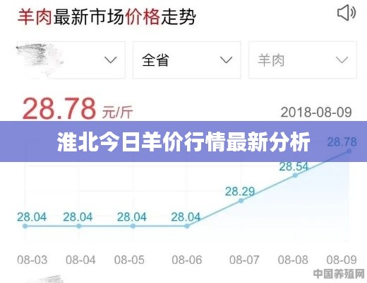 淮北今日羊价行情最新分析