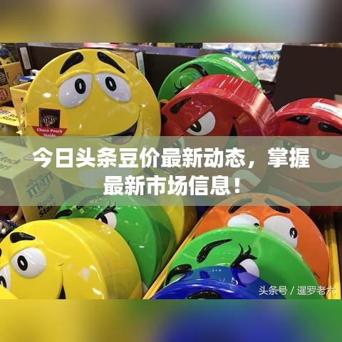 今日头条豆价最新动态，掌握最新市场信息！