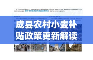 成县农村小麦补贴政策更新解读，最新动态与优惠措施