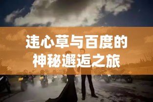 违心草与百度的神秘邂逅之旅