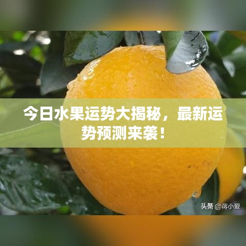 今日水果运势大揭秘，最新运势预测来袭！