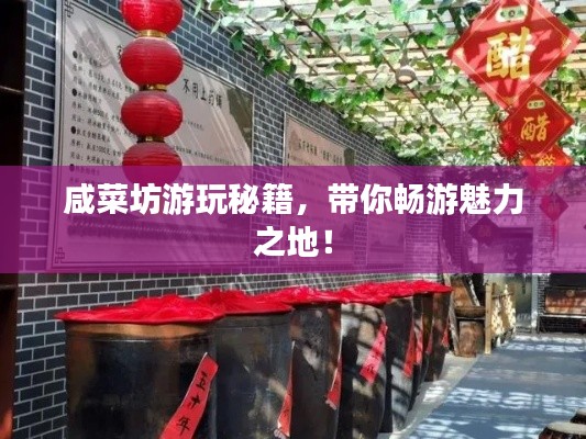 咸菜坊游玩秘籍，带你畅游魅力之地！