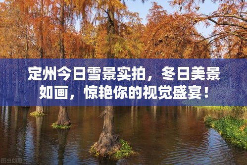 定州今日雪景实拍，冬日美景如画，惊艳你的视觉盛宴！