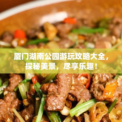 厦门湖南公园游玩攻略大全，探秘美景，尽享乐趣！