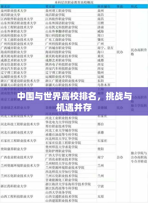 中国与世界高校排名，挑战与机遇并存